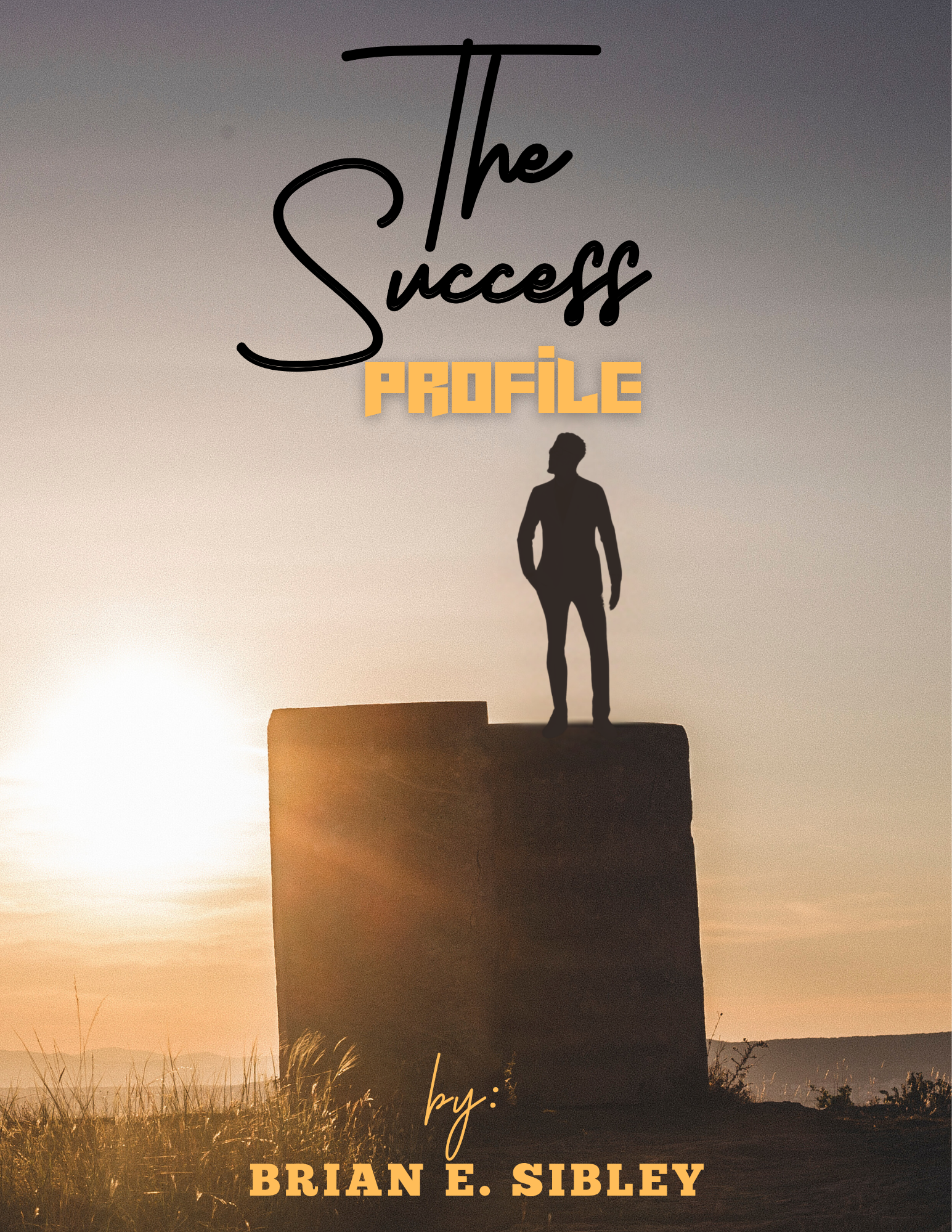 The Success Profile book cover